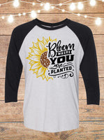Bloom Where You Are Planted Sunflower Raglan T-Shirt
