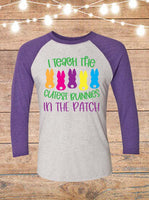 I Teach The Cutest Bunnies In The Patch Teacher Easter Raglan T-Shirt