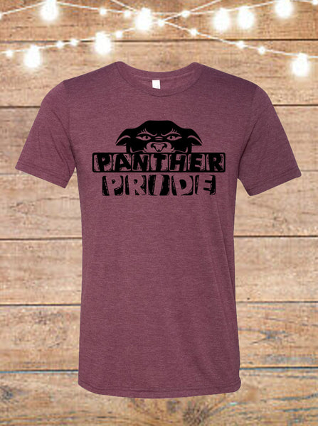 Panther Pride Triblend T-Shirt
