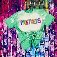 Pataula Charter Academy Panthers Tie Dye Block Bleached T-Shirt